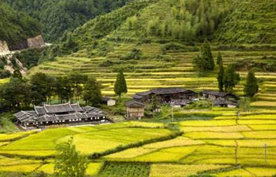 你知道大米都有哪些種類(lèi)和又都有哪些區別嗎？